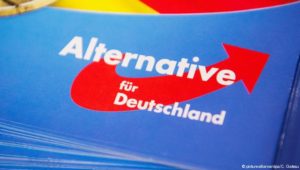 Die Etablierung der AfD in Deutschland – eine Spurensuche